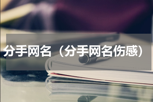 分手网名（分手网名伤感）