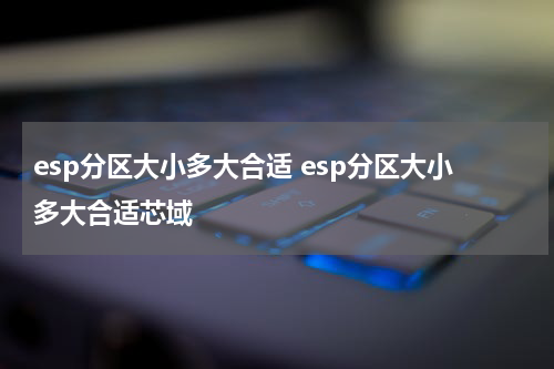 esp分区大小多大合适 esp分区大小多大合适芯域