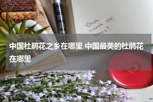 中国杜鹃花之乡在哪里 中国最美的杜鹃花在哪里