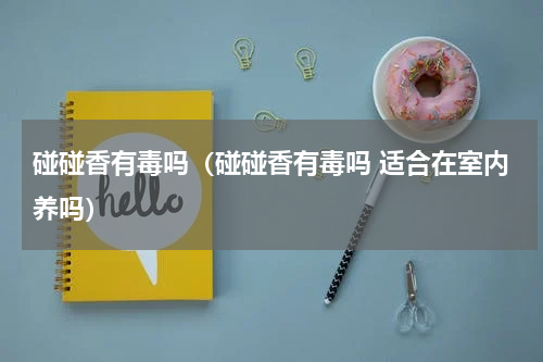 碰碰香有毒吗（碰碰香有毒吗 适合在室内养吗）
