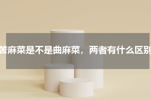 苦麻菜是不是曲麻菜，两者有什么区别