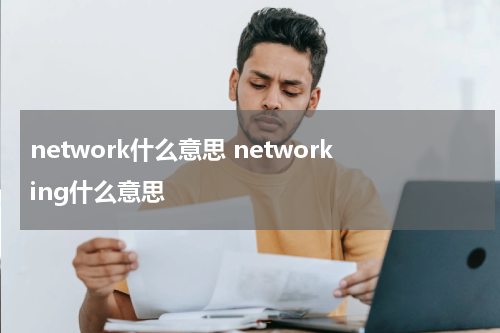 network什么意思 networking什么意思