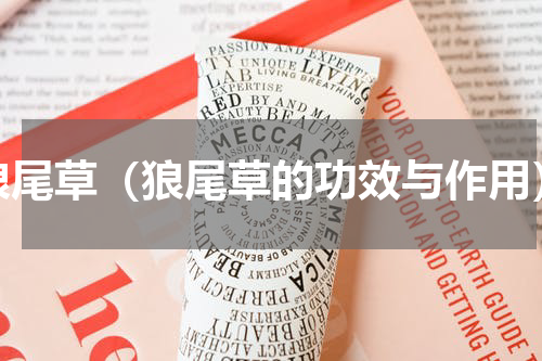 狼尾草（狼尾草的功效与作用）