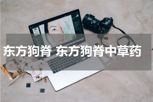 东方狗脊 东方狗脊中草药