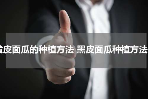 黄皮面瓜的种植方法 黑皮面瓜种植方法