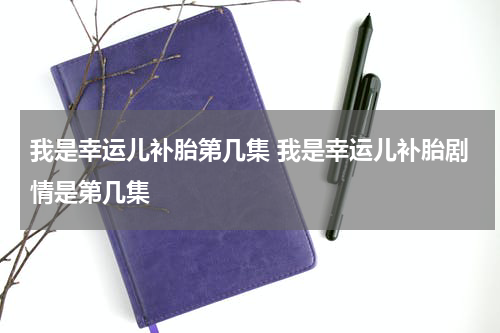 我是幸运儿补胎第几集 我是幸运儿补胎剧情是第几集
