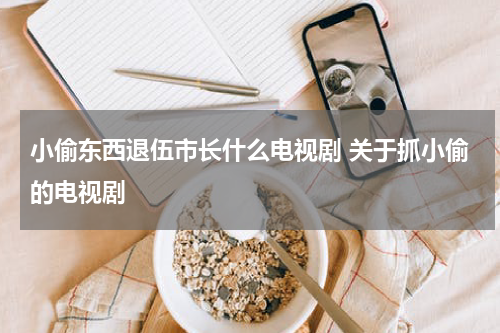 小偷东西退伍市长什么电视剧 关于抓小偷的电视剧