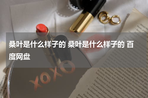 桑叶是什么样子的 桑叶是什么样子的 百度网盘