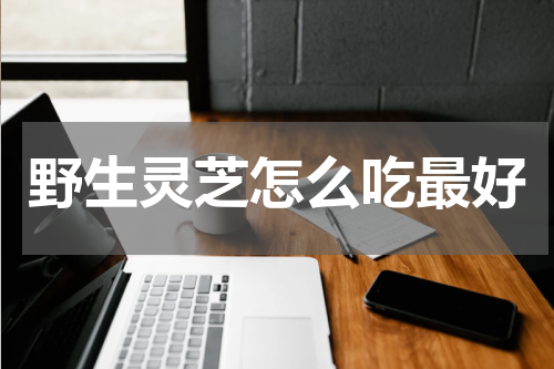 野生灵芝怎么吃最好