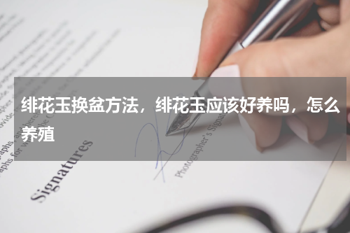 绯花玉换盆方法，绯花玉应该好养吗，怎么养殖