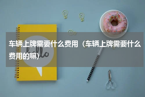 车辆上牌需要什么费用（车辆上牌需要什么费用的嘛）