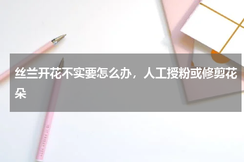 丝兰开花不实要怎么办，人工授粉或修剪花朵