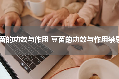 豆苗的功效与作用 豆苗的功效与作用禁忌