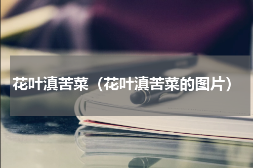 花叶滇苦菜（花叶滇苦菜的图片）
