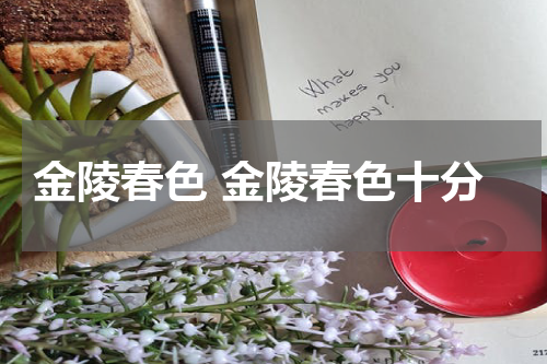 金陵春色 金陵春色十分