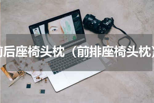 前后座椅头枕（前排座椅头枕）