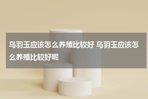 乌羽玉应该怎么养殖比较好 乌羽玉应该怎么养殖比较好呢