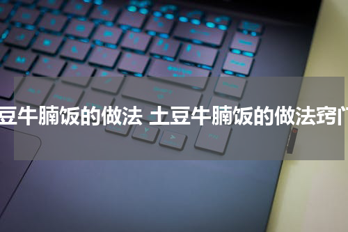 土豆牛腩饭的做法 土豆牛腩饭的做法窍门