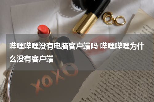 哔哩哔哩没有电脑客户端吗 哔哩哔哩为什么没有客户端