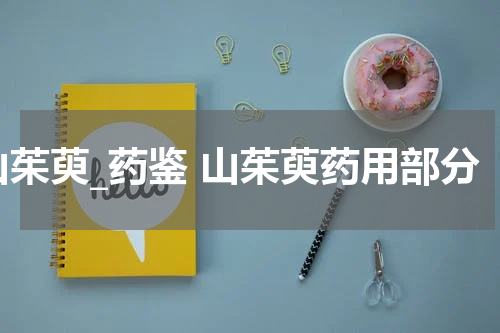 山茱萸_药鉴 山茱萸药用部分