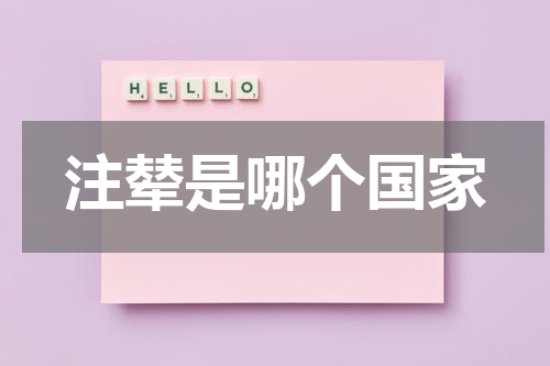 注辇是哪个国家