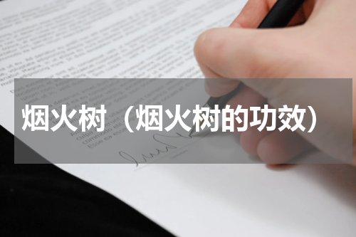 烟火树（烟火树的功效）