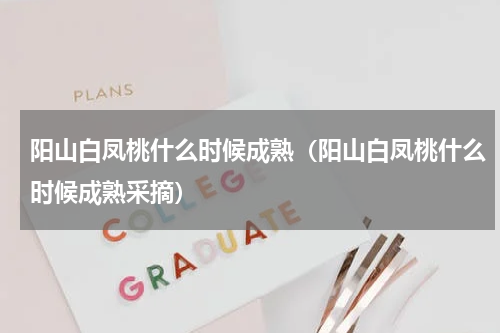 阳山白凤桃什么时候成熟（阳山白凤桃什么时候成熟采摘）