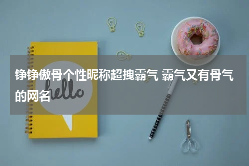 铮铮傲骨个性昵称超拽霸气 霸气又有骨气的网名