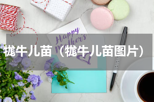 牻牛儿苗（牻牛儿苗图片）