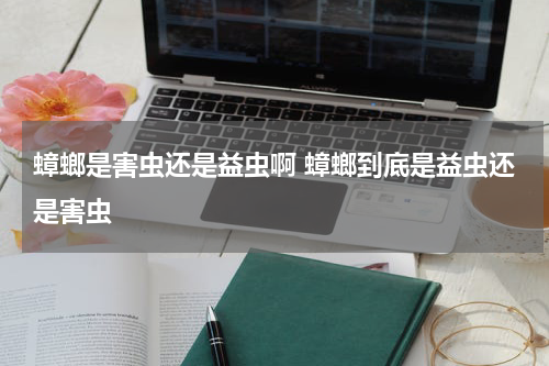 蟑螂是害虫还是益虫啊 蟑螂到底是益虫还是害虫