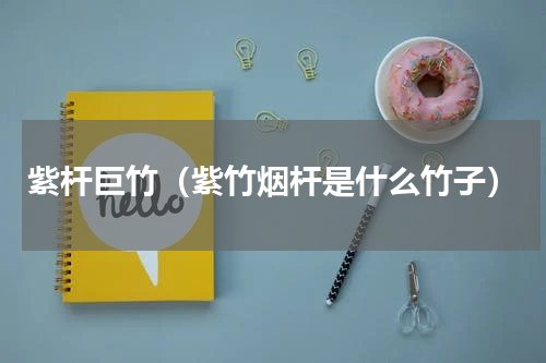 紫杆巨竹（紫竹烟杆是什么竹子）