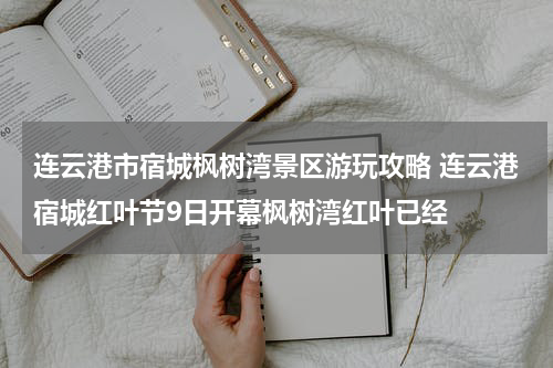 连云港市宿城枫树湾景区游玩攻略 连云港宿城红叶节9日开幕枫树湾红叶已经