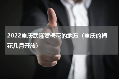 2022重庆武隆赏梅花的地方（重庆的梅花几月开放）