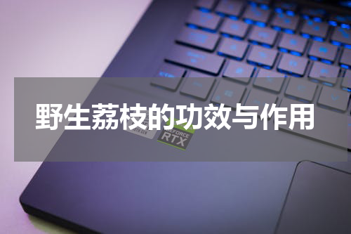 野生荔枝的功效与作用