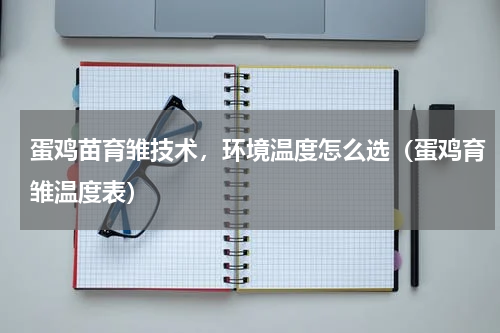 蛋鸡苗育雏技术，环境温度怎么选（蛋鸡育雏温度表）