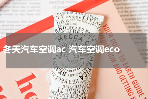 冬天汽车空调ac 汽车空调eco