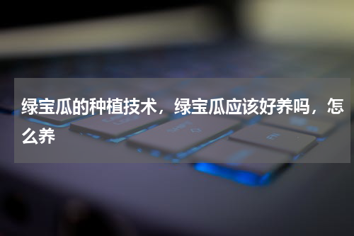 绿宝瓜的种植技术，绿宝瓜应该好养吗，怎么养