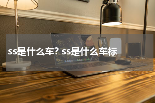 ss是什么车? ss是什么车标