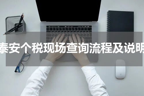泰安个税现场查询流程及说明