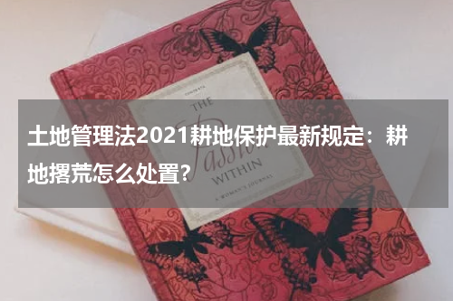 土地管理法2021耕地保护最新规定：耕地撂荒怎么处置？
