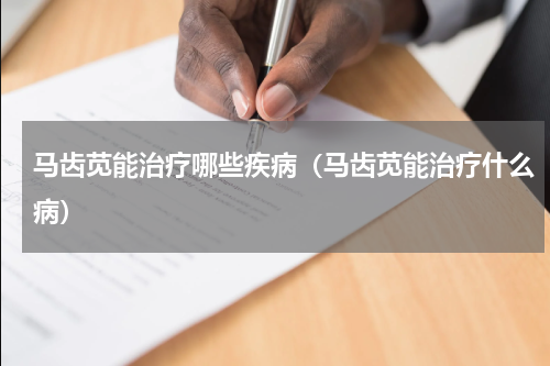 马齿苋能治疗哪些疾病（马齿苋能治疗什么病）