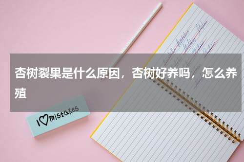 杏树裂果是什么原因，杏树好养吗，怎么养殖