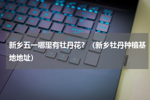 新乡五一哪里有牡丹花？（新乡牡丹种植基地地址）