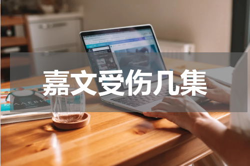 嘉文受伤几集