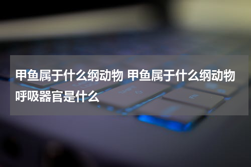 甲鱼属于什么纲动物 甲鱼属于什么纲动物呼吸器官是什么