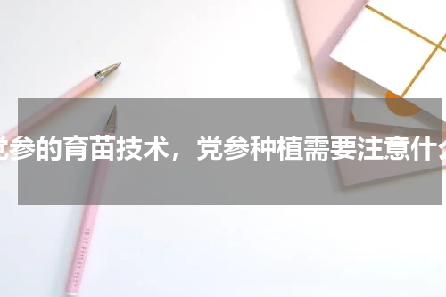 党参的育苗技术，党参种植需要注意什么