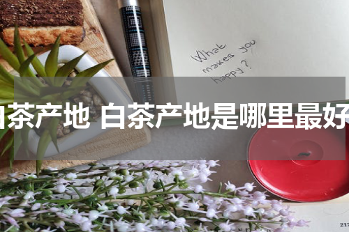白茶产地 白茶产地是哪里最好