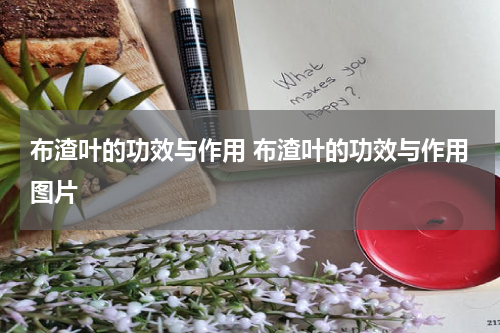 布渣叶的功效与作用 布渣叶的功效与作用图片