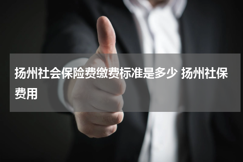 扬州社会保险费缴费标准是多少 扬州社保费用