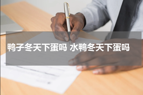 鸭子冬天下蛋吗 水鸭冬天下蛋吗